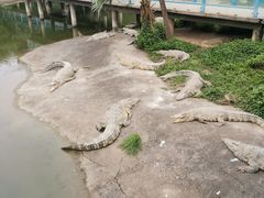 -广州长隆飞鸟乐园