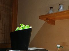 -九田家黑牛烤肉料理(华侨城店)