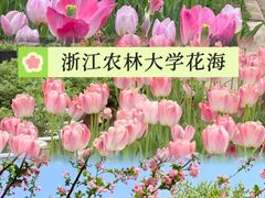 -浙江农林大学(东湖校区)