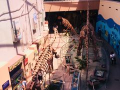 -陕西自然博物馆