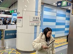 -大望路(地铁站)