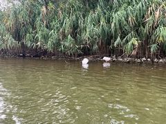 -东方饺子王(新奥购物中心店)