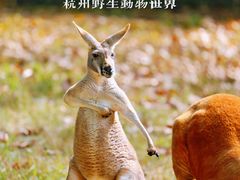 -杭州野生动物世界