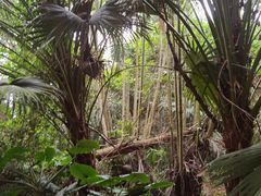-海南热带野生动植物园
