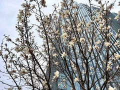 -同济大学(嘉定校区)