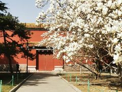 -北京市劳动人民文化宫(太庙)