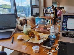 -猫小主咖啡·猫咖cat cafe(福田店)