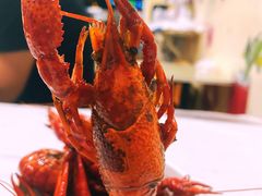 -新百度·洪湖地标大排档(爱国路店)