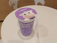 -一只酸奶牛(双流万达广场店)