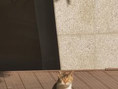 -苏州河梦清园环保主题公园