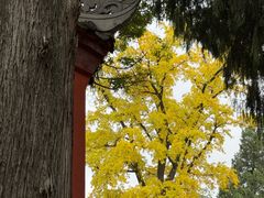 -金堂县云顶石城风景区