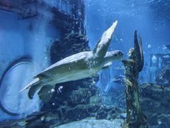 -海合安天津极地海洋公园