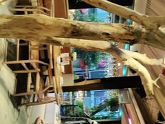 -渔太泰漓江小馆·广西融合菜(西街店)