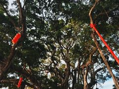 -烟桥古村
