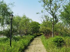 -杭州湾海上花田景区