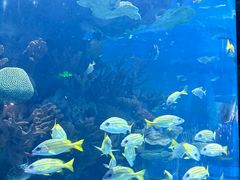 -多彩贵州城极地海洋世界