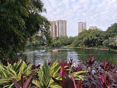 -晓港公园