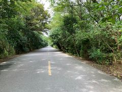 -盐城丹顶鹤湿地生态旅游区