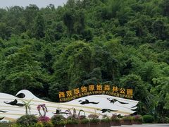 -西双版纳原始森林公园