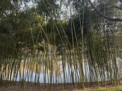 -包公祠