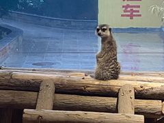 -石家庄市动物园