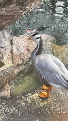 -红砖美术馆-红砖院子·宴会厅