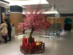 -红鼎豆捞·非遗鲍皇汤火锅(宝丰路店)