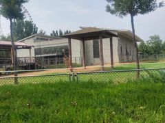 -石家庄市动物园