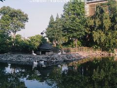 -田园东方蜜桃村的田野营地