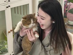 -青奢宠物·青奢猫舍