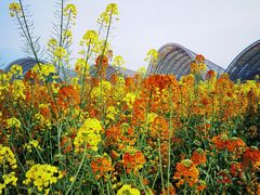 -中国天府农业博览园