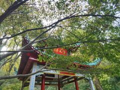 -岳麓山风景名胜区