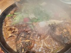 -老板恋上鱼(印象城店)