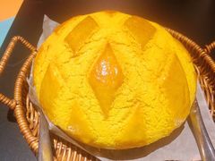 -羽鸽集·乳鸽专门店·地道顺德菜(岭南站店)