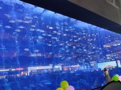 -成都浩海立方海洋公园