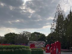 -东平国家森林公园