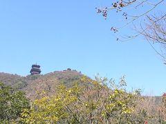 -杭州半山国家森林公园