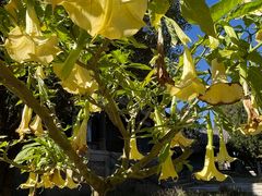 -天龙八部武侠城