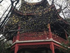 -汇龙潭