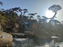 -罗红摄影艺术馆