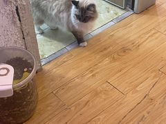 -剧狐剧本杀·月球探案馆(人民广场1号店)