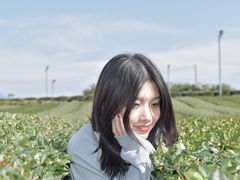 -雪绿茶博物馆
