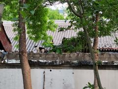 -元大都城垣遗址公园