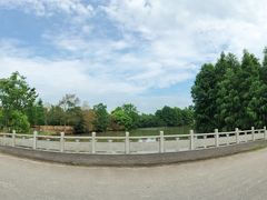 -上海海湾国家森林公园