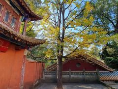 -昆明市金殿名胜区