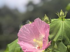 -晓港公园