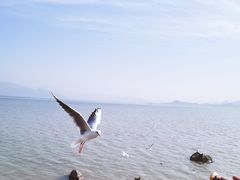 -深圳湾公园(南山区)