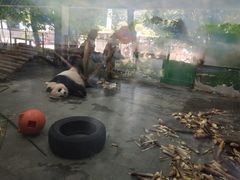 -无锡动物园·太湖欢乐园