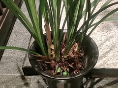 -溪畔•新徽菜(碧湖云溪店)