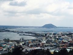 -涉地可支